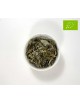 Té Blanco Brote de Nieve Premium