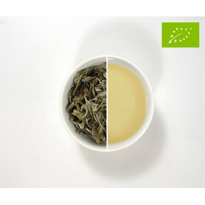 Té Blanco Brote de Nieve Premium