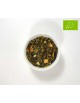 Té Verde Jengibre Cítrico Bio