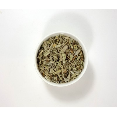 Salvia