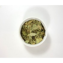 Hoja de eucalipto blanco