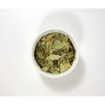 Hoja de eucalipto blanco