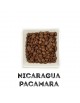 Café Nicaragua Pacamara