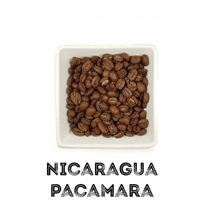 Café de especialidad en grano - Nica Café