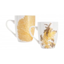 Juego 2 tazas Singapur