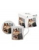 Taza Ashdene gatos con posavasos ceramico
