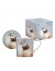 Taza Ashdene gatos con posavasos ceramico