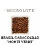 Micro lote Brasil Monteverde