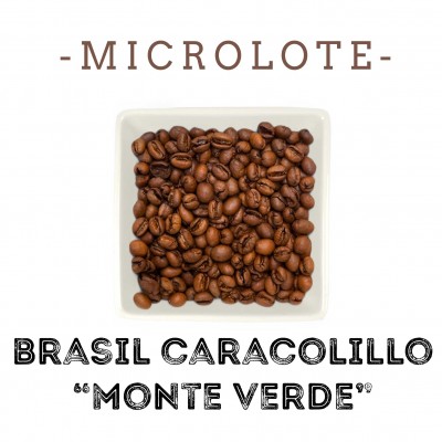 Micro lote Brasil Monteverde
