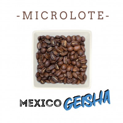 Micro lote Mexico Geisha