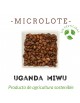 Micro Lote Uganda Miwu