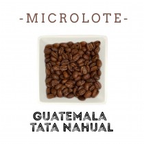 Micro lote Guatemala Tata Nahual