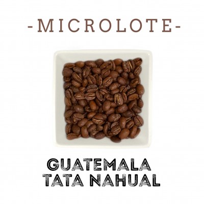 Micro lote Guatemala Tata Nahual